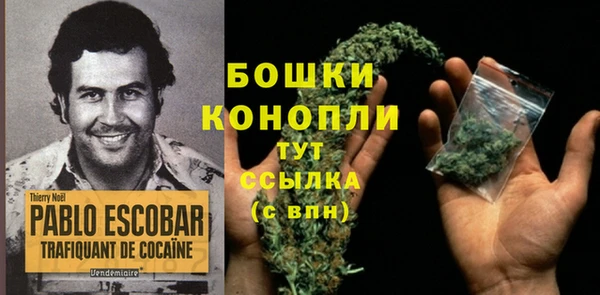 дурь Аркадак